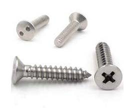 Picture of SS Screw 